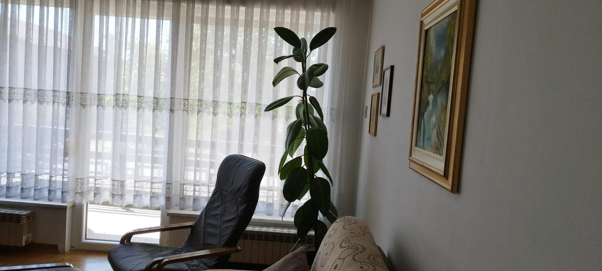 7 Flower Street Apartment Sempeter pri Gorici Exterior foto